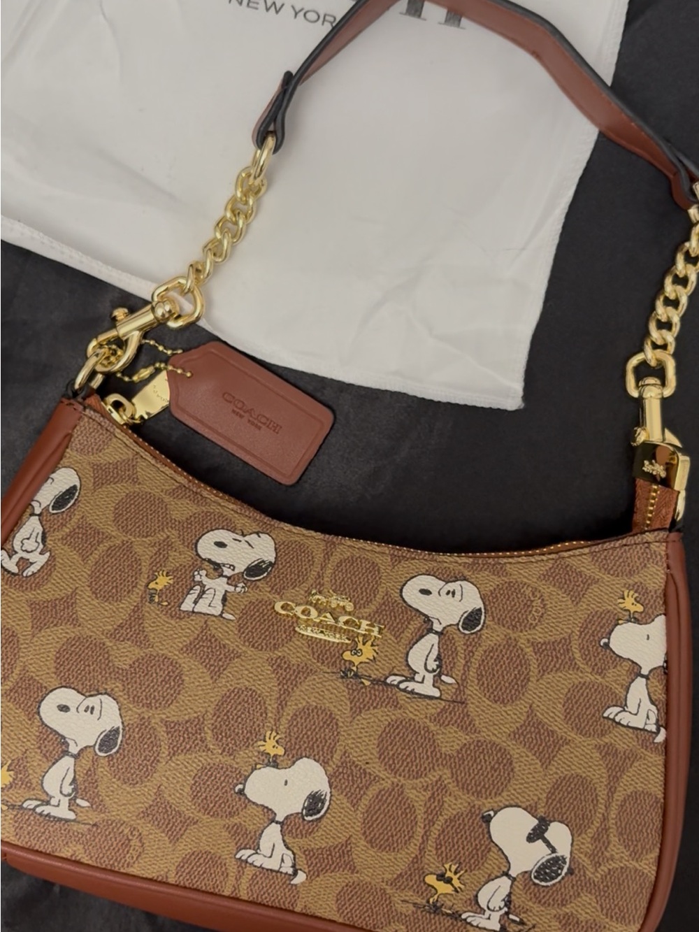 Coach x Peanuts Brown Snoopy Terri Shoulder Bag